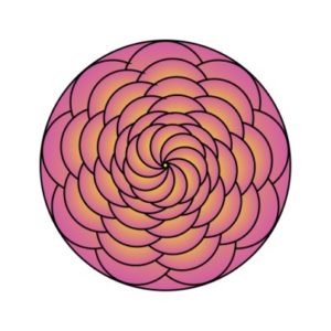 Experience the Change Mandala